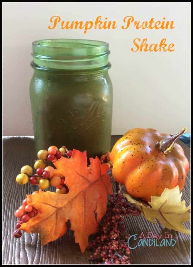 Pumpkin Protein Smoothie