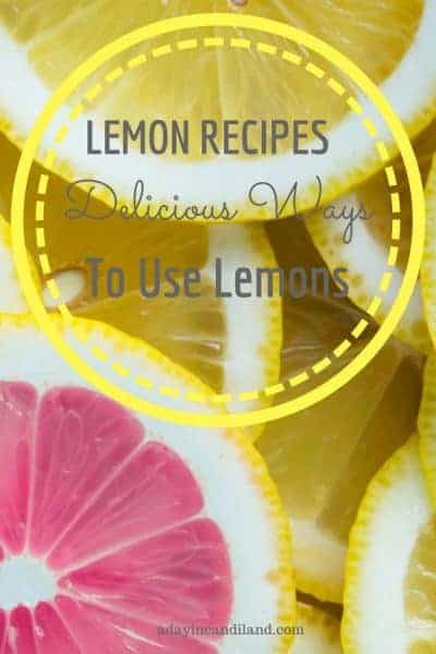 Lemon Recipes: Delicious Ways to Use Lemons in Your Home