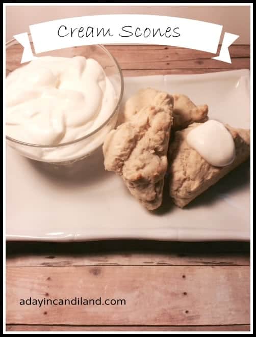 Cream scones with clotted cream on plate