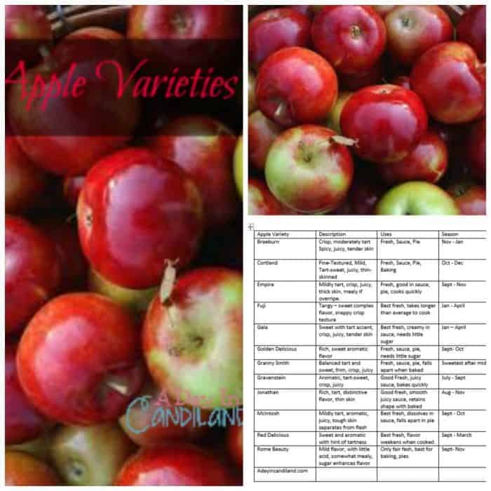 types of apple chart