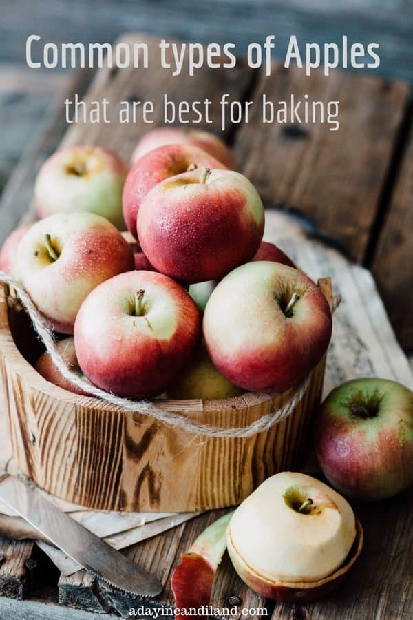 Common types of apples best for baking