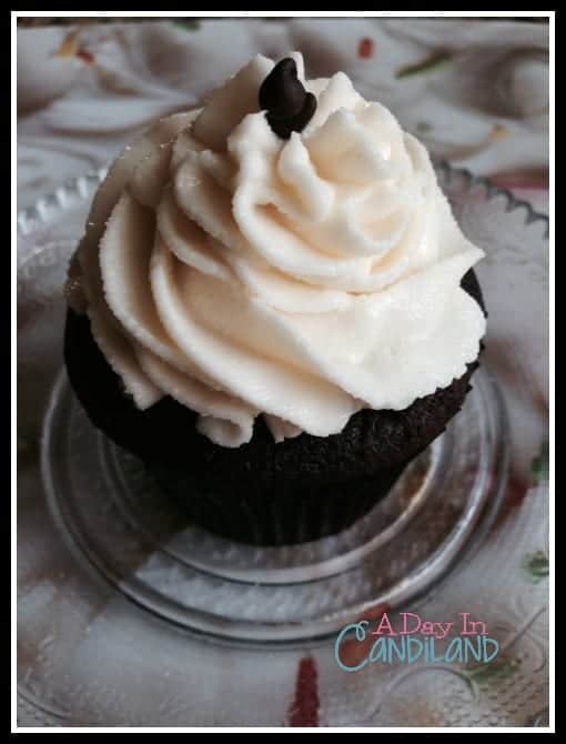 Gluten Free chocolate cupcakes with dairy free frosting