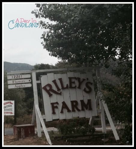 Rileys Farm Entrance Sign