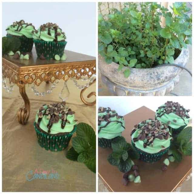 Chocolate Mint Cupcakes Collage