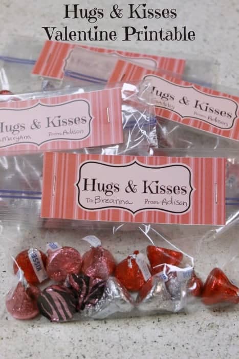 Hugs and Kisses Valentine