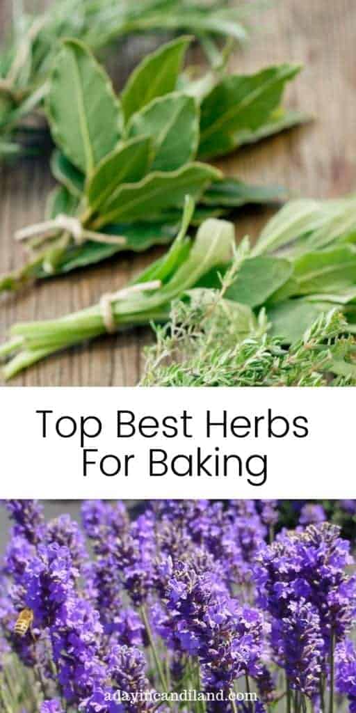 Top Best Herbs to bake with long image