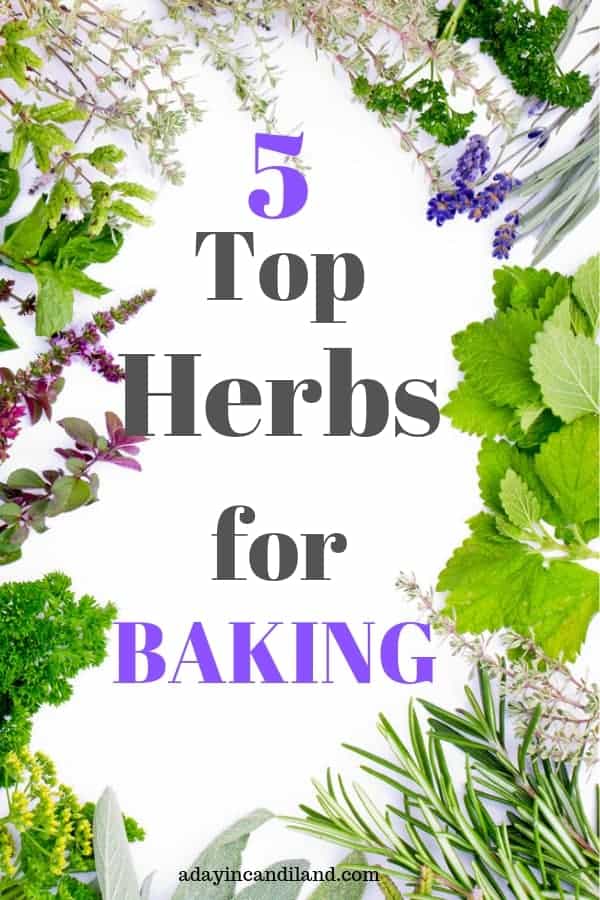 Top Herbs for Baking