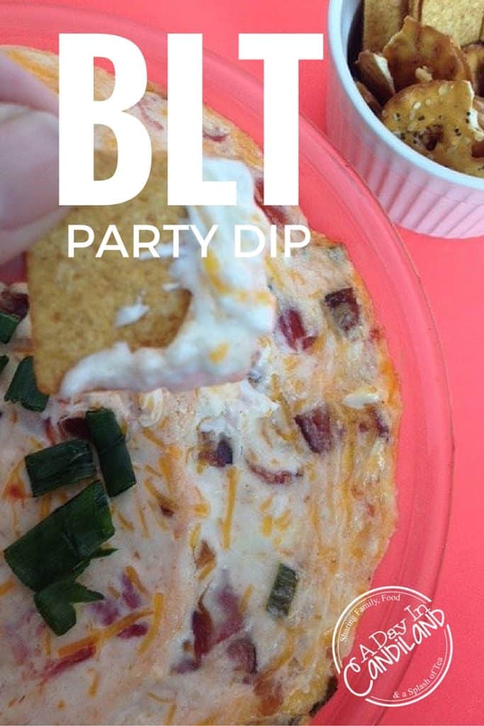 blt PARTY DIP IMAGE