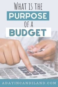 What is the purpose of a budget
