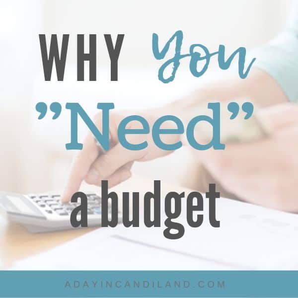 Purpose of a Budget