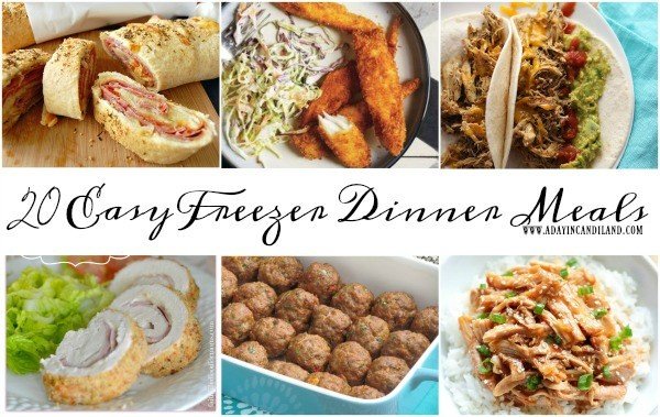 20 Easy Freezer Meals