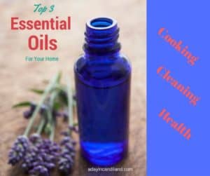 Top 3 Essential Oils For Your Home - A Day In Candiland