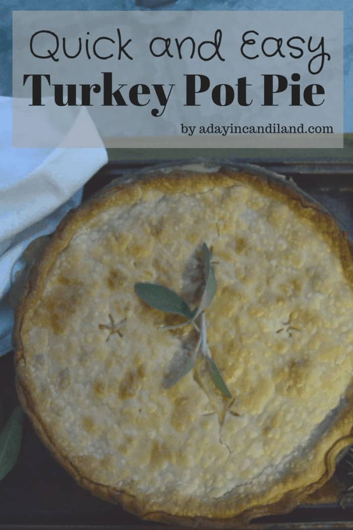 Quick and Delicious Turkey Pot Pie - A Day In Candiland