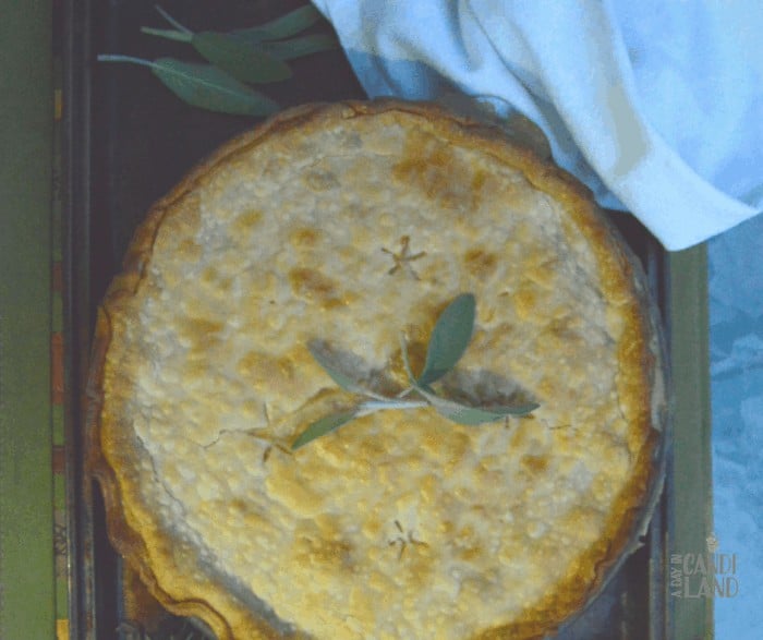 Turkey Pot Pie #tryturkey #superprotein