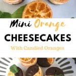 Mini Orange cheesecakes with oranges