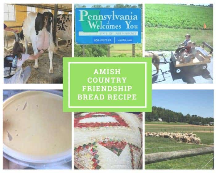 Amish Country, Milking Cows, buggy rides, peanut butter, quilts and sheep.