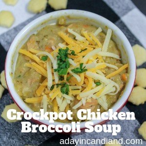 Creamy Crockpot Chicken Broccoli Soup Recipe in a bowl with cheese and cilantro