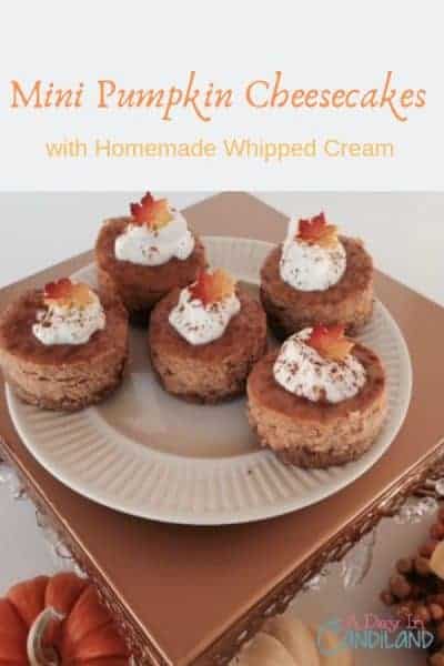 Mini pumpkin cheesecakes with homemade whipped cream