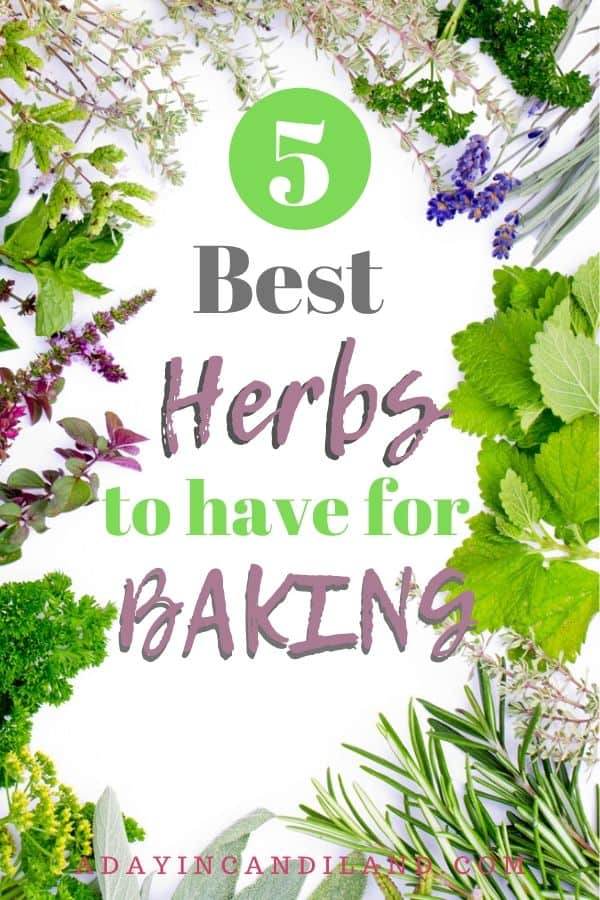 Top Herbs for Baking