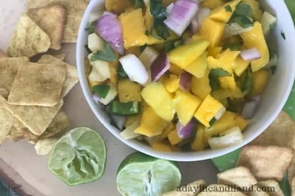 Bowl of tropical fruit salad 