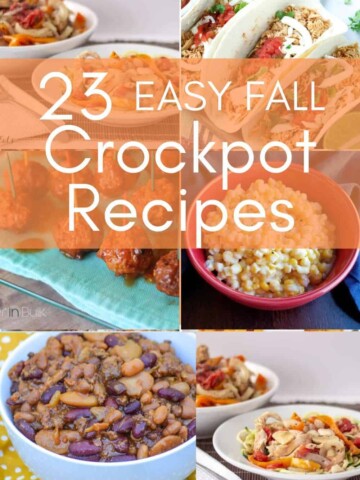 https://adayincandiland.com/wp-content/uploads/2019/09/23-Fall-Crockpot-Recipes-1-1-360x480.jpg