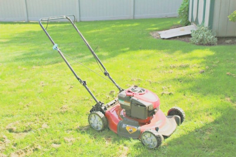 Outdoor Fall Cleaning Lawn Mower