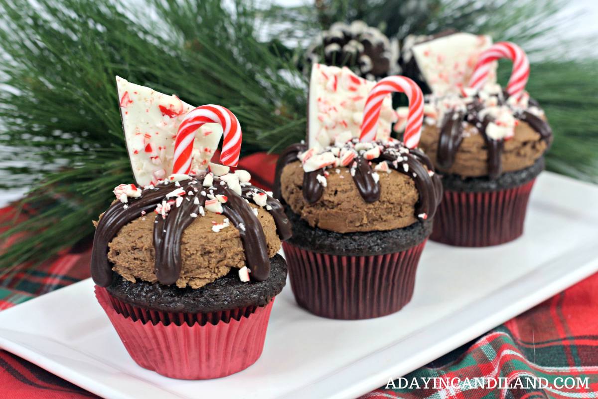 3 Chocolate Cupcakes on a white plate. 