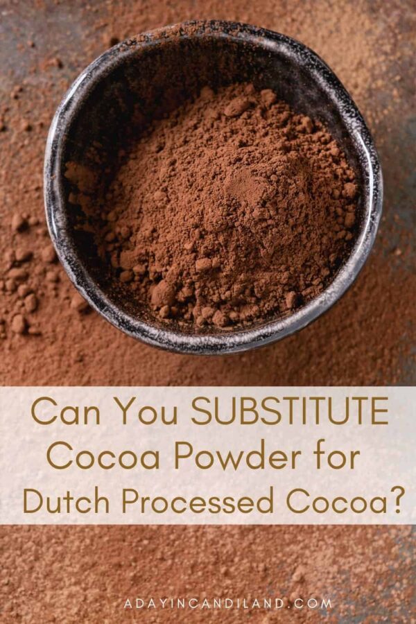 Can You Substitute Dutch Cocoa for Cocoa Powder?