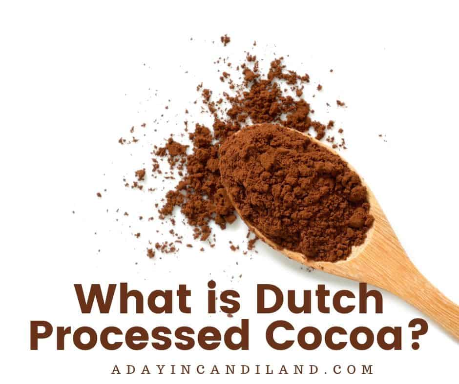 dutch process cocoa powder brands