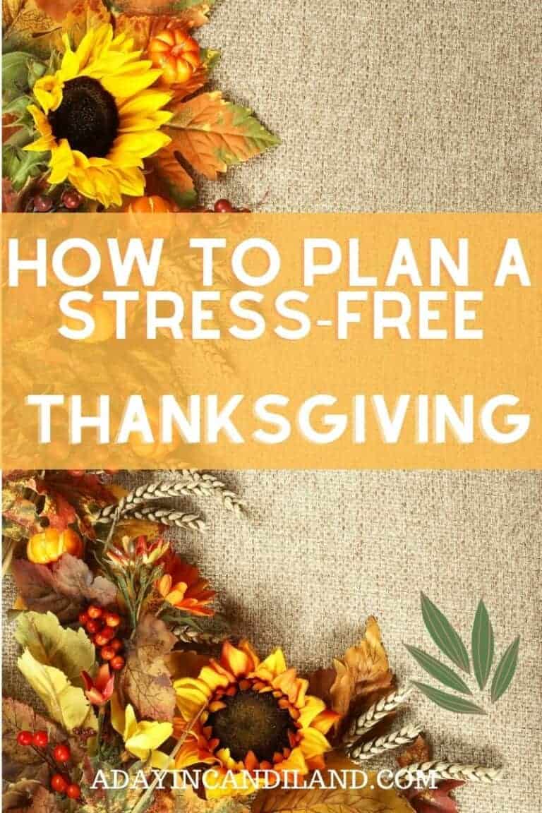 how-to-prepare-thanksgiving-dinner-without-the-stress-a-day-in-candiland