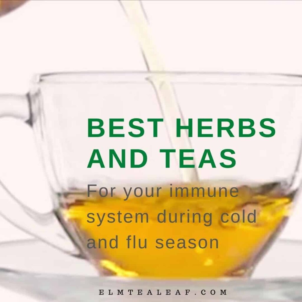 Glass cup of Herbal Tea for cold and flu season. 