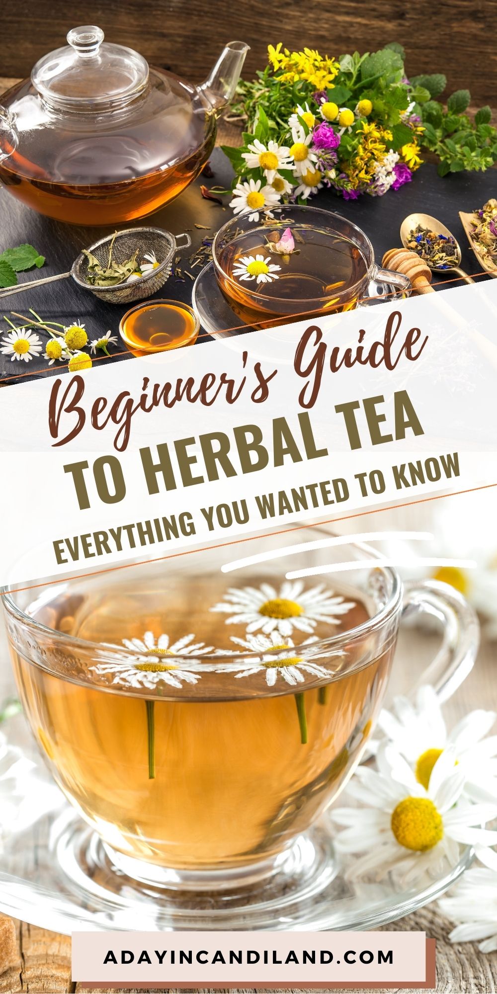 Beginner's Guide to Herbal Tea - A Day In Candiland