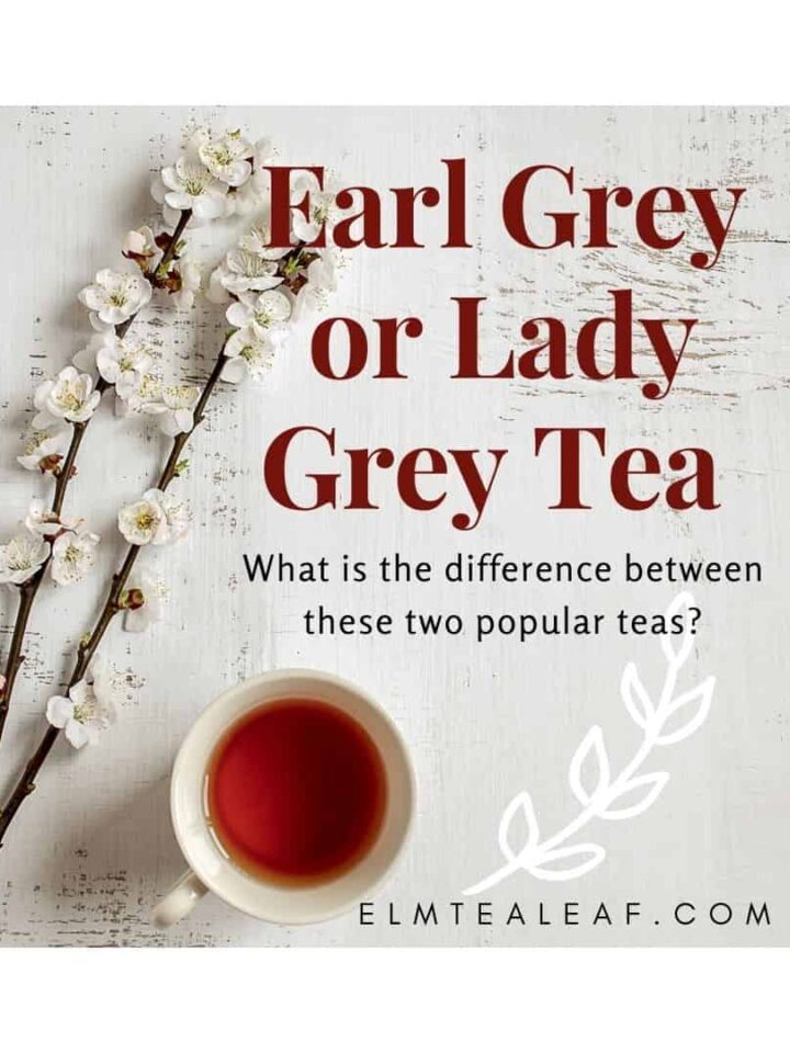 Tea Education A Day In Candiland