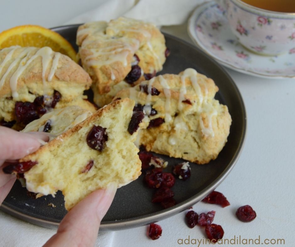 Cranberry Orange Scones holding a bite with fingers. 