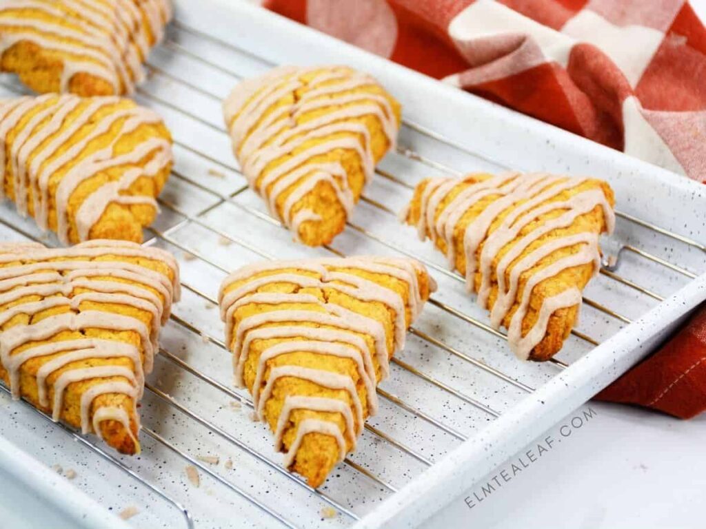 pumpkin scones sitting on a baking sheet drizzled with icing 