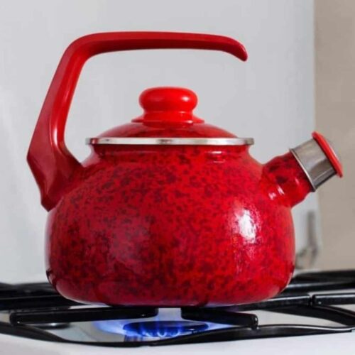 Best Tea Kettle For Gas Stove A Day In Candiland