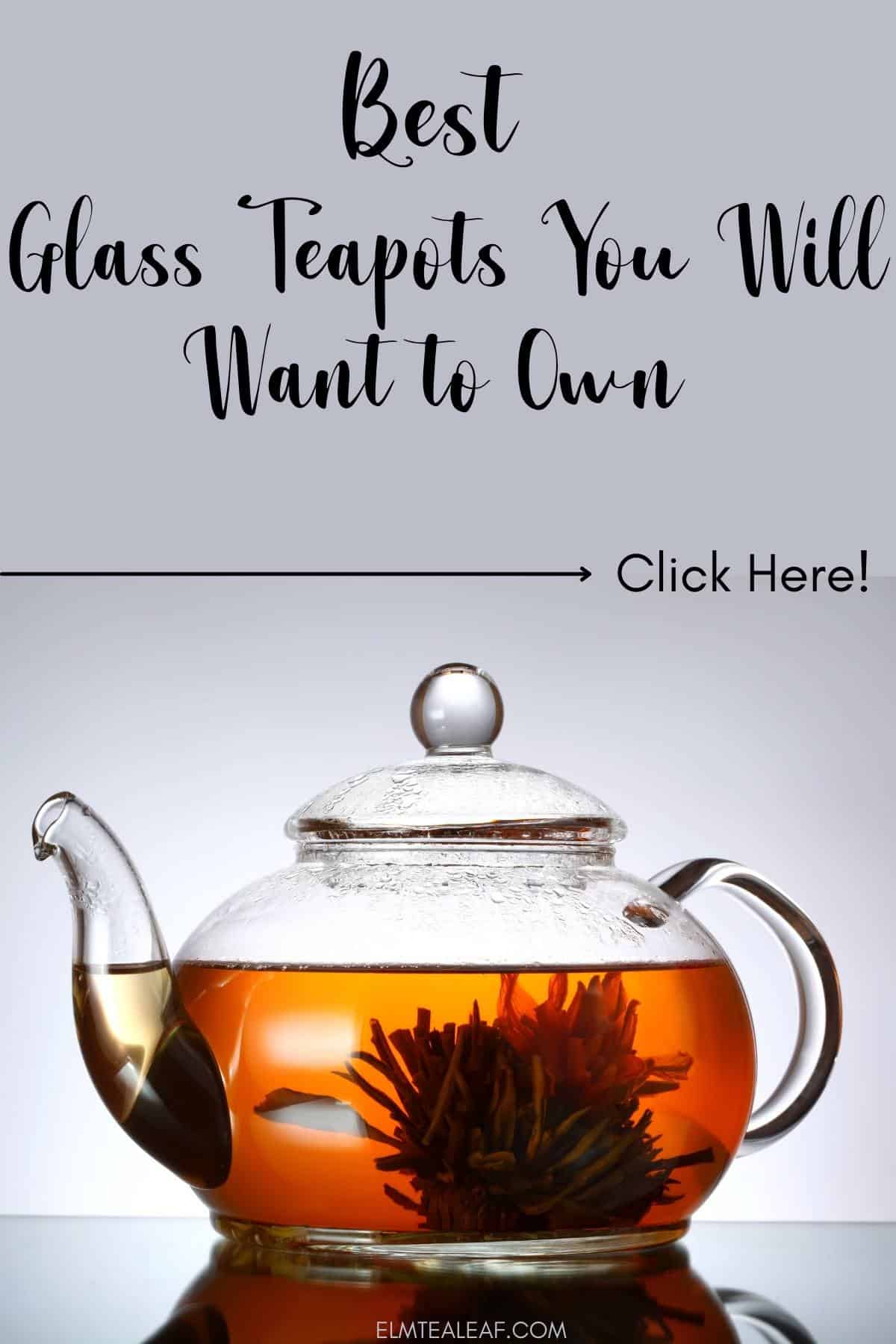 Glass Teapot with blooming flower on Counter 