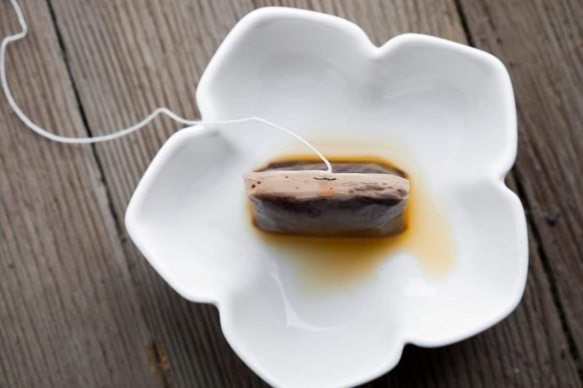 A used teabag on a tray. 
