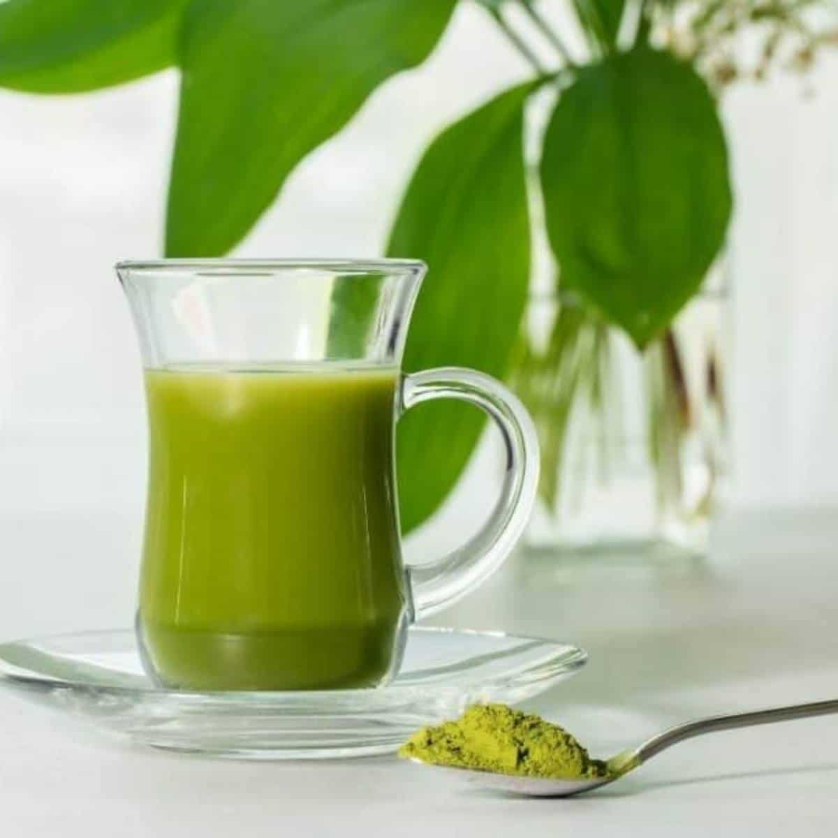 Glass of Matcha Tea with spoon of Matcha Powder 