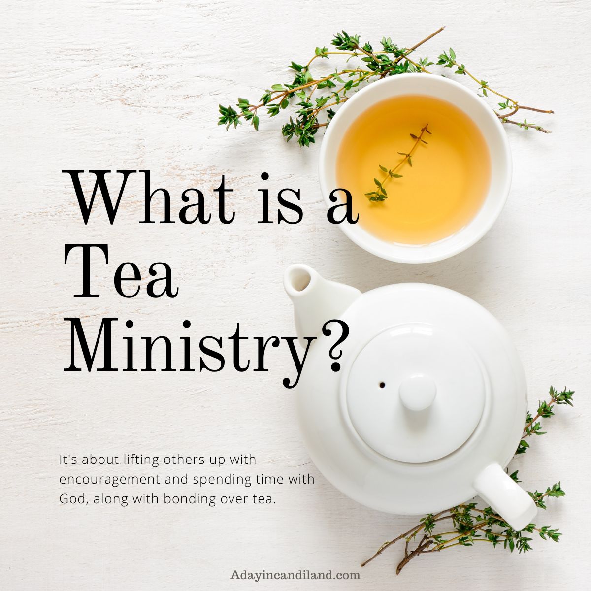 What is a Tea Ministry. White Teapot and cup of tea with some herbs. 