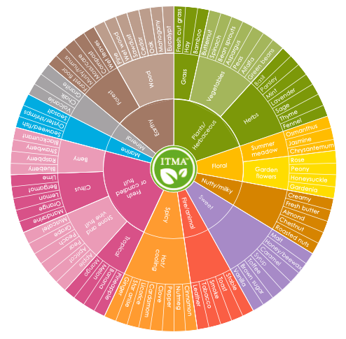 Tea Aroma Tasting Wheel 