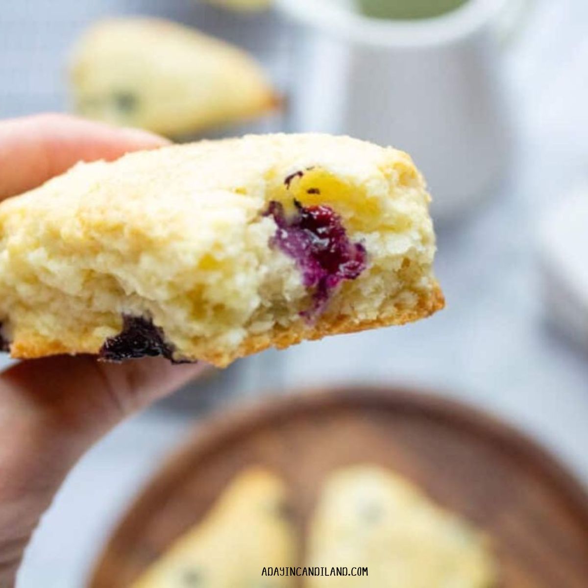 Blueberry Scone with a bite taken out. 