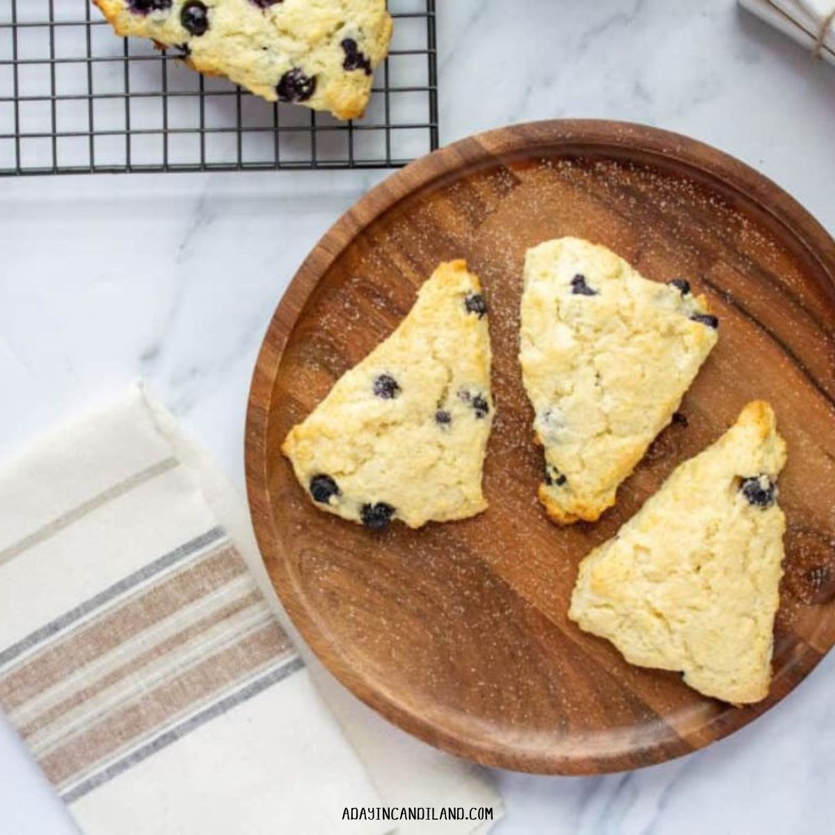 Plate with 3 Blueberry scones. 