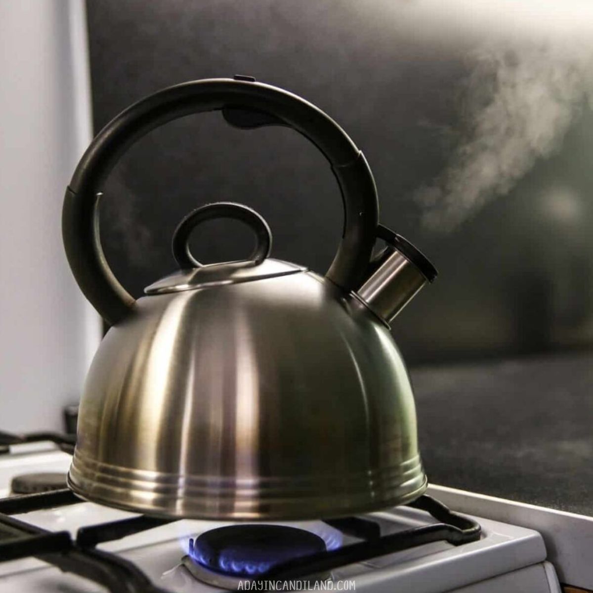 A Tea Kettle on the stove. 
