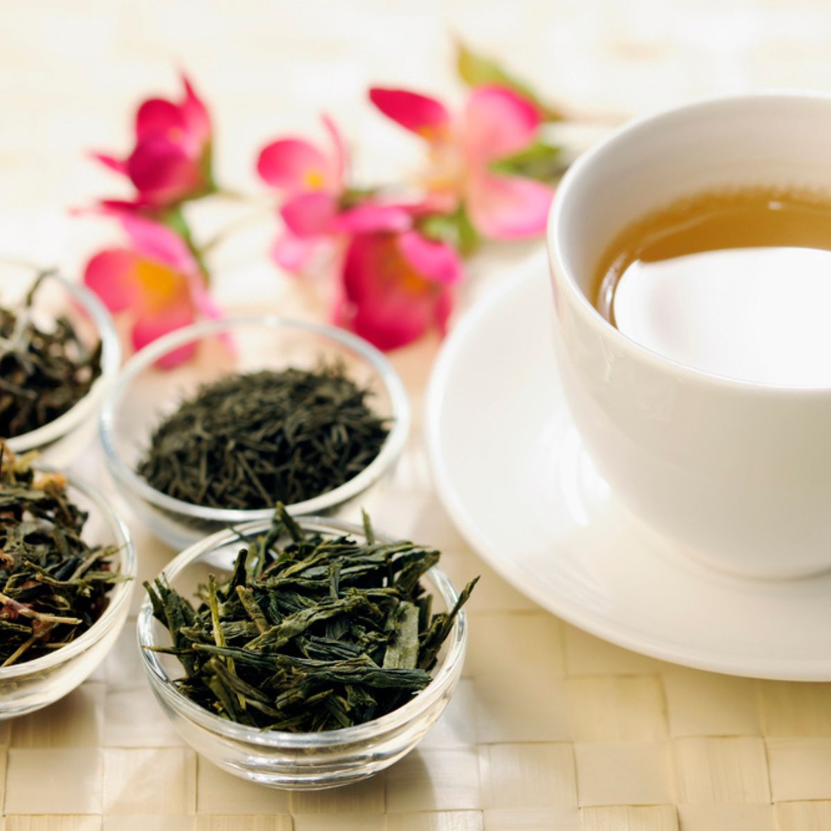 Beginner's Guide to Green Tea - A Day In Candiland