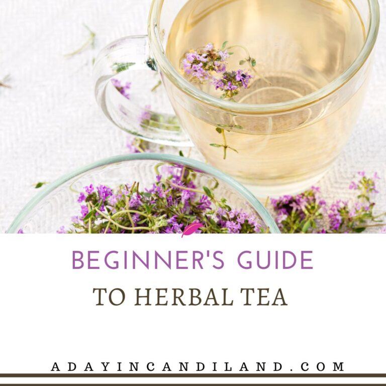Beginner's Guide to Herbal Tea - A Day In Candiland
