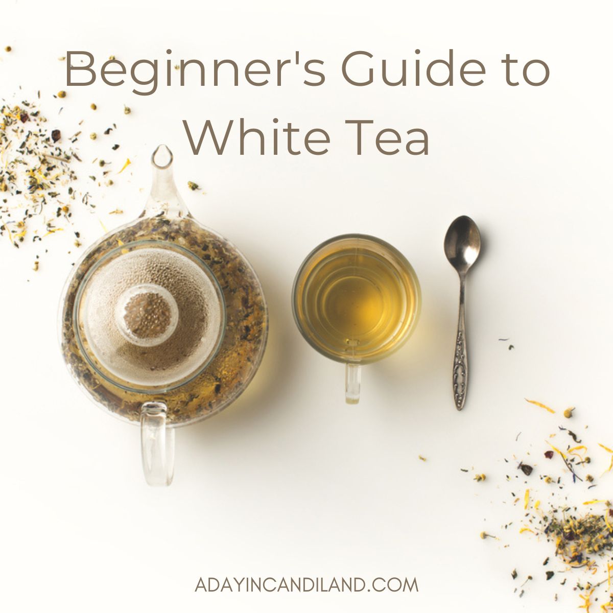 Teapot with white tea, teacup and spoon on a table. 