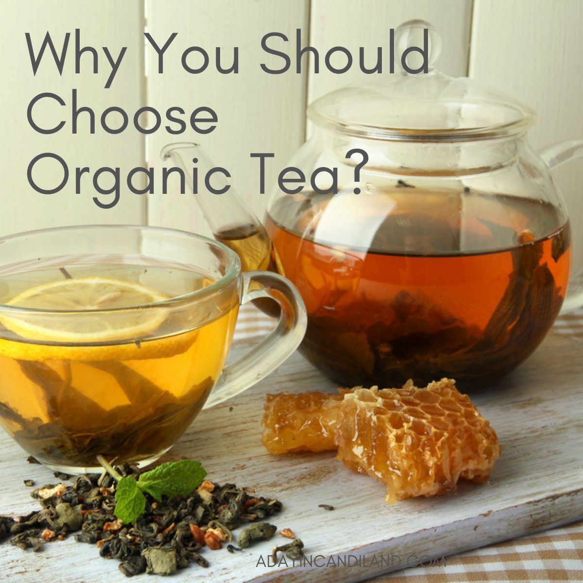 A clear glass teapot with a clear glass cup of organic tea. 