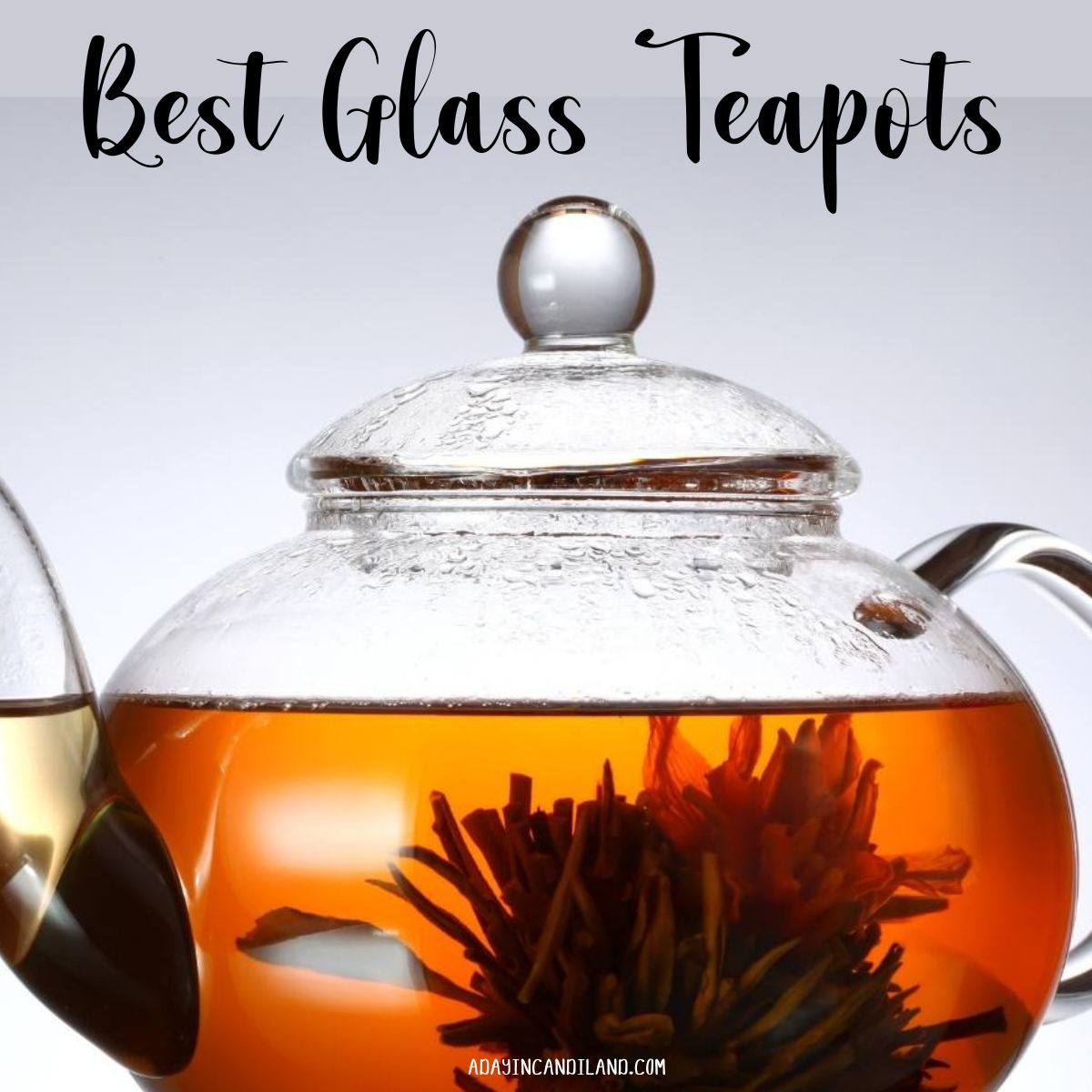 https://adayincandiland.com/wp-content/uploads/2023/07/Best-Glass-Teapots-FB-2.jpg