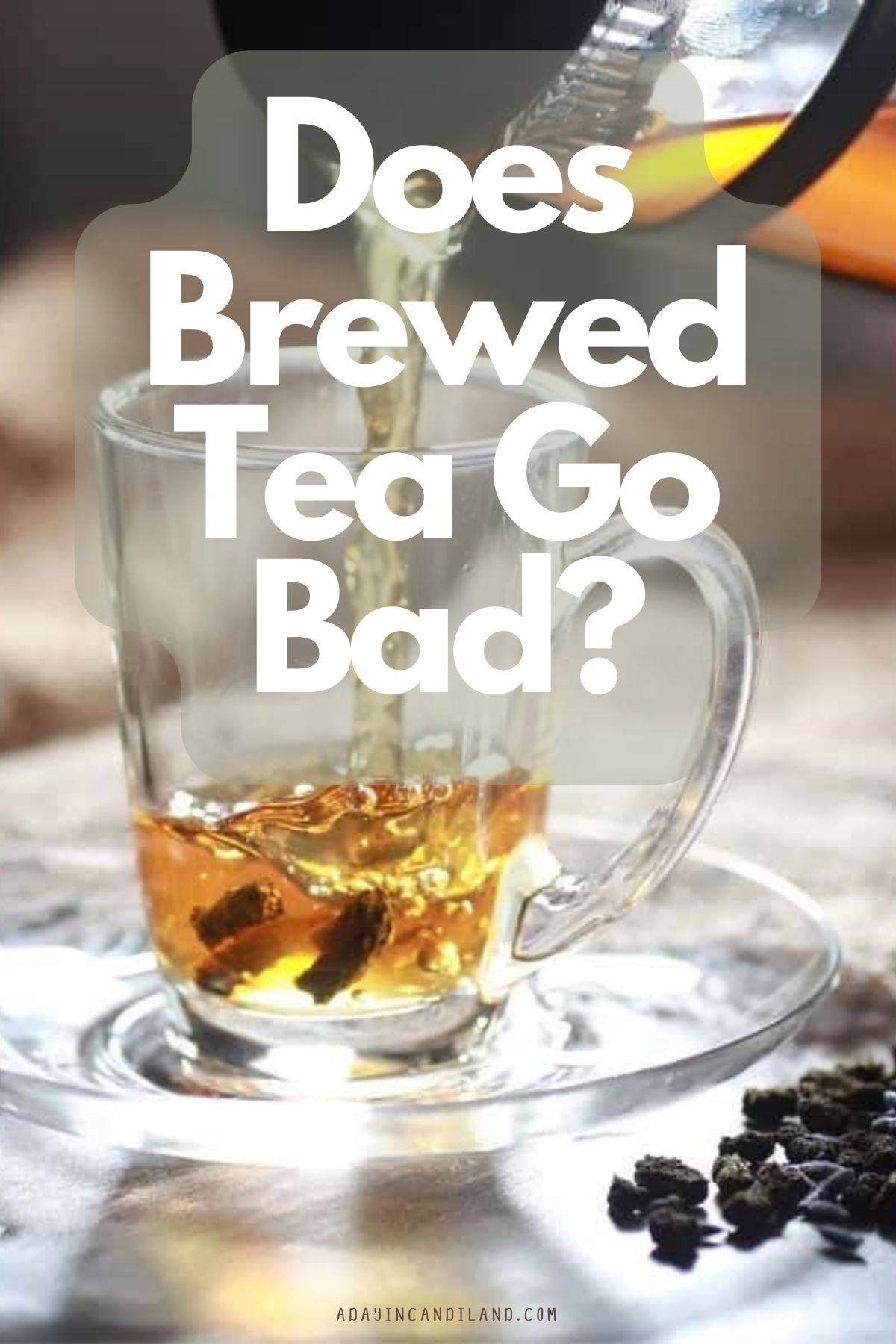 Does Brewed Tea Go Bad? A Day In Candiland